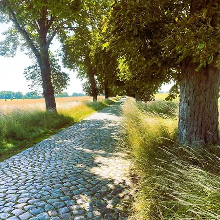 - Mustin (Mecklenburg-Vorpommern)